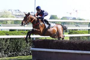 Les français Raz de Marée et We Have a Dream triomphent au Pays de Galles Les français Raz de Marée et We Have a Dream triomphent au Pays de Galles