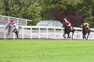 Les français se distinguent à quatre semaines du Festival de Cheltenham