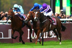 921 "classic" entries for 2018 921 "classic" entries for 2018