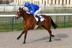 New maiden winners in France (Feb. 12-18) New maiden winners in France (Feb. 12-18)