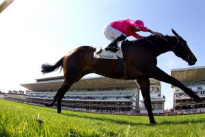 First entries for ParisLongchamp's opening! First entries for ParisLongchamp's opening!