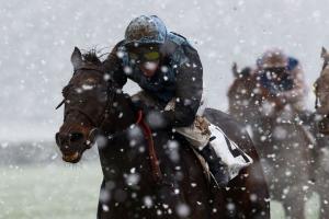 Air Pilot triomphe dans une réunion écourtée