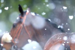Courses de samedi annulées à Saint-Cloud reportées mardi à Chantilly et jeudi à Saint-Cloud