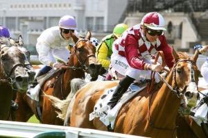 New interference rules apply in France from March 31st on New interference rules apply in France from March 31st on