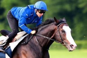 Des écuries françaises ambitieuses à Lingfield et Dubaï