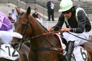 Urgent de Gregaine tout près du but à Cheltenham