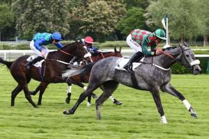Edward d'Argent dans la course au Grand Steeple