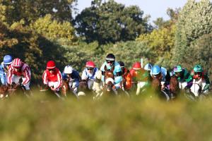 Vaccination against Equine Herpes Virus now mandatory to race in France Vaccination against Equine Herpes Virus now mandatory to race in France