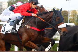 Lignes françaises à Aintree