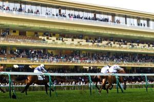 Les terrains parisiens ce week-end