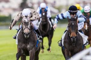 Luminate et Homérique font le Penelope show