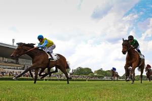 Castellar dans le bon tempo