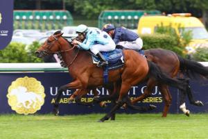 Blog des handicapeurs : le verdict des Poules d'Essai