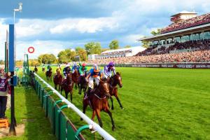 All the champions gathered amongst 95 Qatar Arc entries All the champions gathered amongst 95 Qatar Arc entries