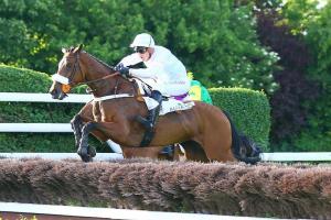 L'Ovalie gagne aux courses L'Ovalie gagne aux courses