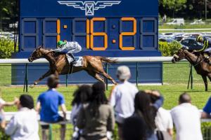 French classics season starts with the Emirates Poules d'Essai French classics season starts with the Emirates Poules d'Essai