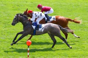 Maiden winners in May Maiden winners in May