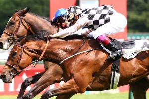 Maiden winners in June Maiden winners in June