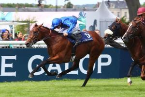 Nocturnal Fox in full bloom Nocturnal Fox in full bloom