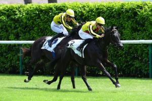 Marnane plans another raid on Royal Ascot Marnane plans another raid on Royal Ascot