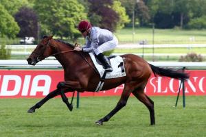 Al Adaid out, soft ground forecast Al Adaid out, soft ground forecast