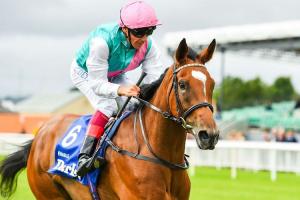 #ArcRoad : Enable back for more Arc glory! #ArcRoad : Enable back for more Arc glory!