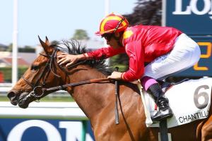 Lady Athena: A journey from Australia to Arcachon Lady Athena: A journey from Australia to Arcachon