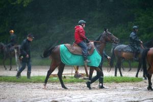 A popular Shahnaza and a good to soft ground for Prix de Diane Longines