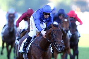 Les groupes français ont leur site : Thefrenchblacktype.com Les groupes français ont leur site : Thefrenchblacktype.com