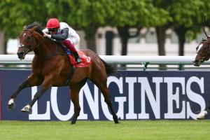 #ArcRoad : Cracksman holding out for the Qatar Prix de l’Arc de Triomphe #ArcRoad : Cracksman holding out for the Qatar Prix de l’Arc de Triomphe