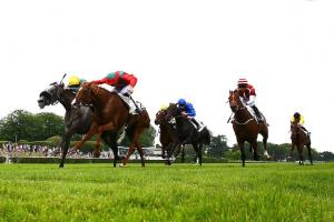 #ArcRoad / Stock of Waldgeist rises again in Grand Prix #ArcRoad / Stock of Waldgeist rises again in Grand Prix