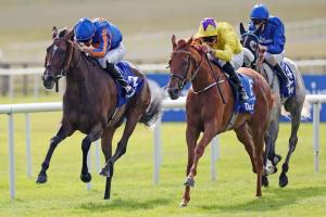 #ArcRoad : Sea of Class splashes in the mix #ArcRoad : Sea of Class splashes in the mix