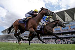 #ArcRoad : Poet’s Word remporte l’Arc anglais #ArcRoad : Poet’s Word remporte l’Arc anglais