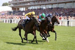 Prix Robert Papin: Royal Ascot winners set their sights on the #DarleySeries Prix Robert Papin: Royal Ascot winners set their sights on the #DarleySeries
