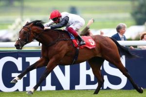 #ArcRoad : Cracksman under wraps for Qatar Arc bid #ArcRoad : Cracksman under wraps for Qatar Arc bid