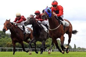 19 engagés dans le « Papin », première étape des #DarleySeries 19 engagés dans le « Papin », première étape des #DarleySeries