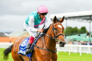#ArcRoad : September Stakes return on the cards for Enable #ArcRoad : September Stakes return on the cards for Enable