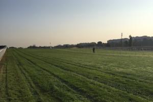 Rentrée à Auteuil Rentrée à Auteuil