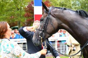 Alpha Centauri crowned best miler in Europe Alpha Centauri crowned best miler in Europe