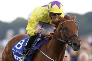 #ArcRoad : Sea Of Class, new favourite for the Arc #ArcRoad : Sea Of Class, new favourite for the Arc