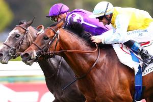 Recoletos, best miler in Europe Recoletos, best miler in Europe