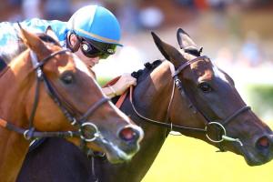 September 2018 Maiden winners September 2018 Maiden winners