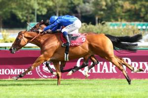 Qatar Vermeille : Kitesurf finit le plus fort Qatar Vermeille : Kitesurf finit le plus fort