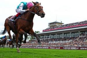 #ArcRoad : Enable makes triumphant return as Arc challenge beckons #ArcRoad : Enable makes triumphant return as Arc challenge beckons