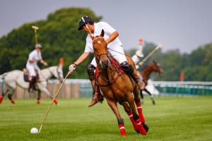 Au-delà des Pistes et la reconversion à Chantilly samedi Au-delà des Pistes et la reconversion à Chantilly samedi