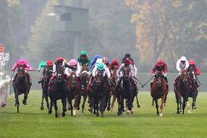Factfiles : Qatar Prix de l'Arc de Triomphe 2018 Factfiles : Qatar Prix de l'Arc de Triomphe 2018