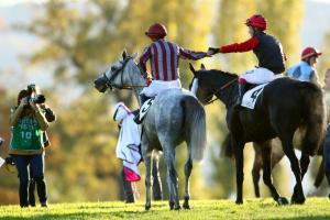 Au programme des 48 heures de l'obstacle Au programme des 48 heures de l'obstacle