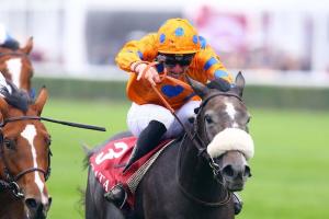Qatar Prix Marcel Boussac: Lily’s Candle or Martin Schwartz’s lucky star Qatar Prix Marcel Boussac: Lily’s Candle or Martin Schwartz’s lucky star
