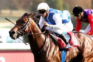 Qatar Prix Dollar : Alignement in a race full of suspense Qatar Prix Dollar : Alignement in a race full of suspense