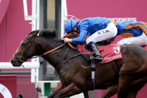 Qatar Prix Jean-Luc Lagardère: Big step up for Royal Marine Qatar Prix Jean-Luc Lagardère: Big step up for Royal Marine